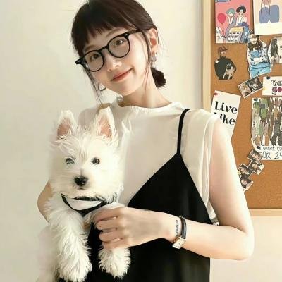 鬣狗式生存海报